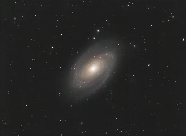Bode's Galaxy (M81)