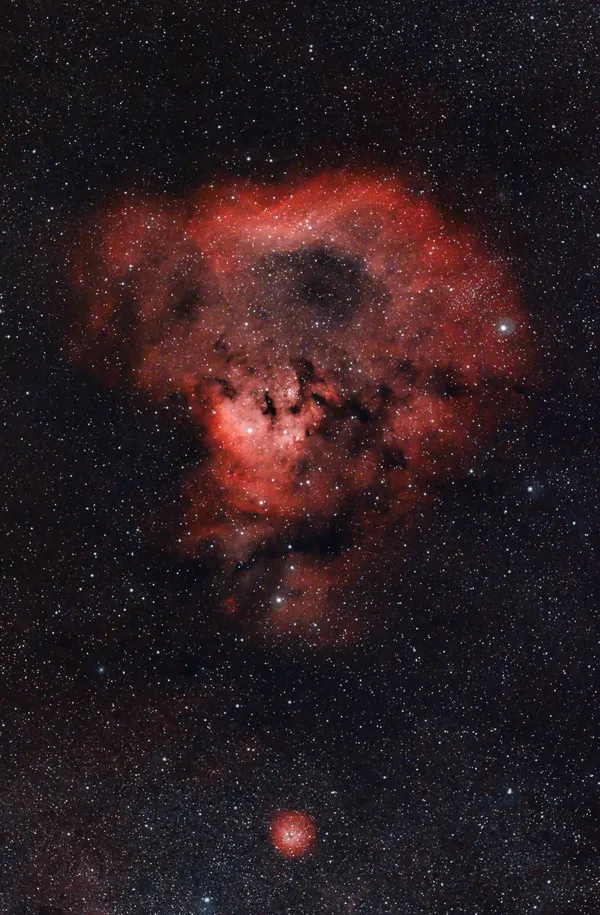 NGC 7822 (Teddy Bear Nebula)